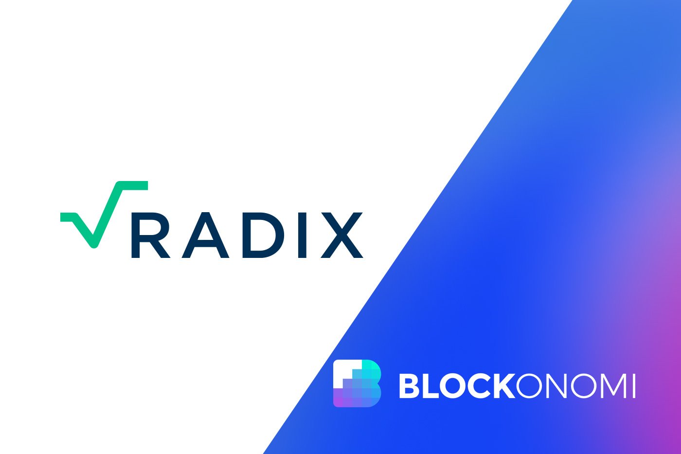 Radix (RDX) Crypto Bookkeeping Software for Enterprises