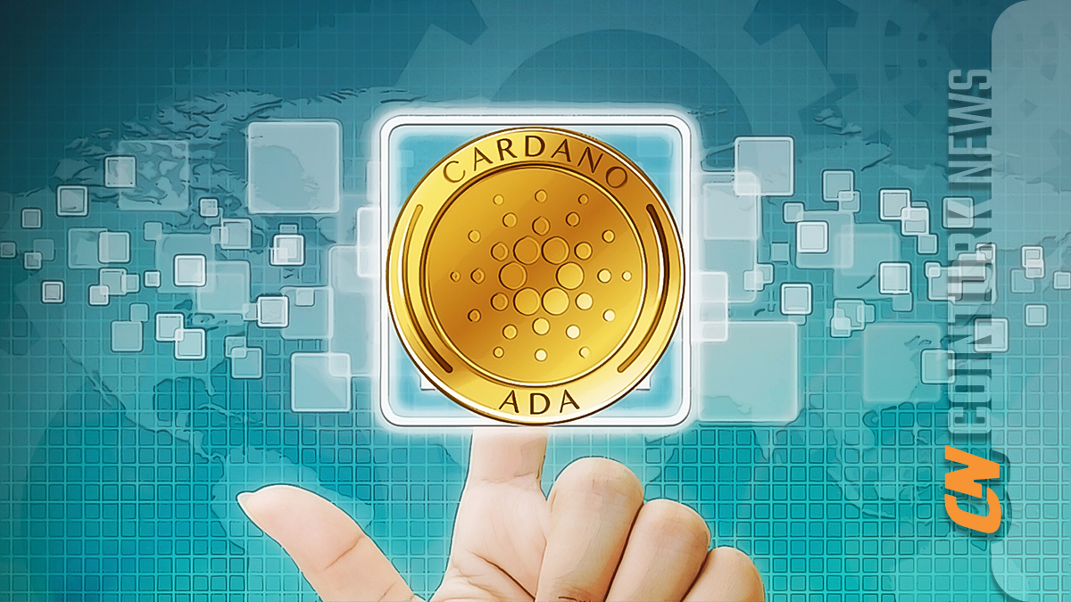 ADA and BNB Price Prediction for March 4