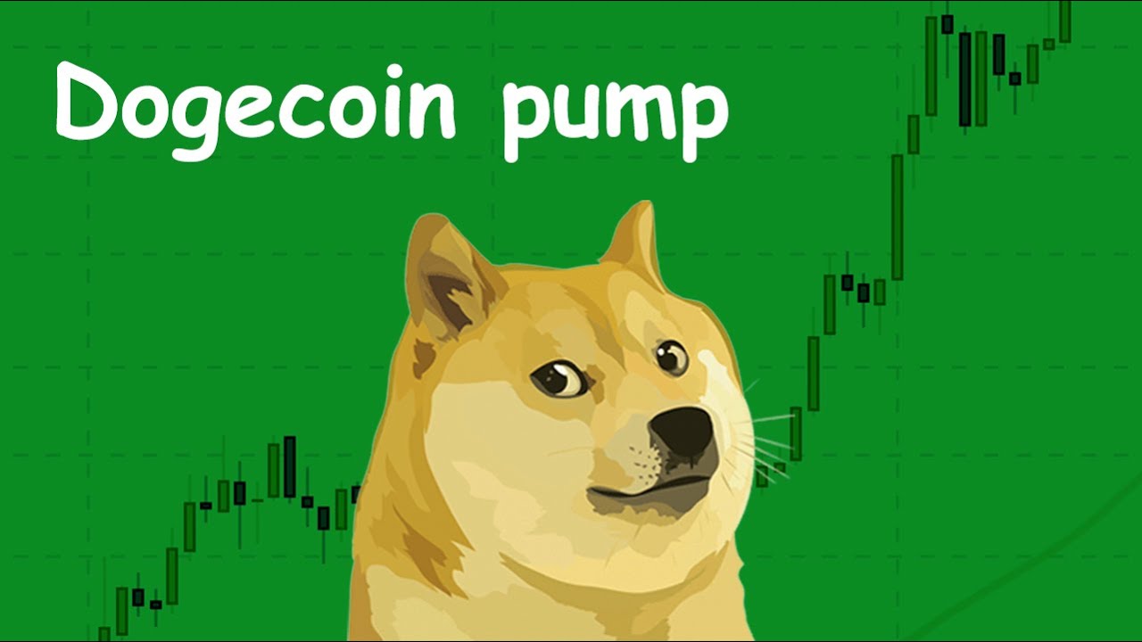 The Black American Man That Made $12 Million In Doge Pump Is Now Buying This New Token