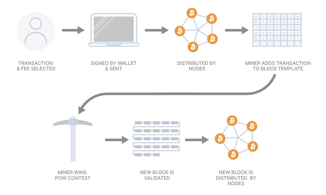 How Bitcoin Nodes and Bitcoin Miners Differ | The Crypto Times