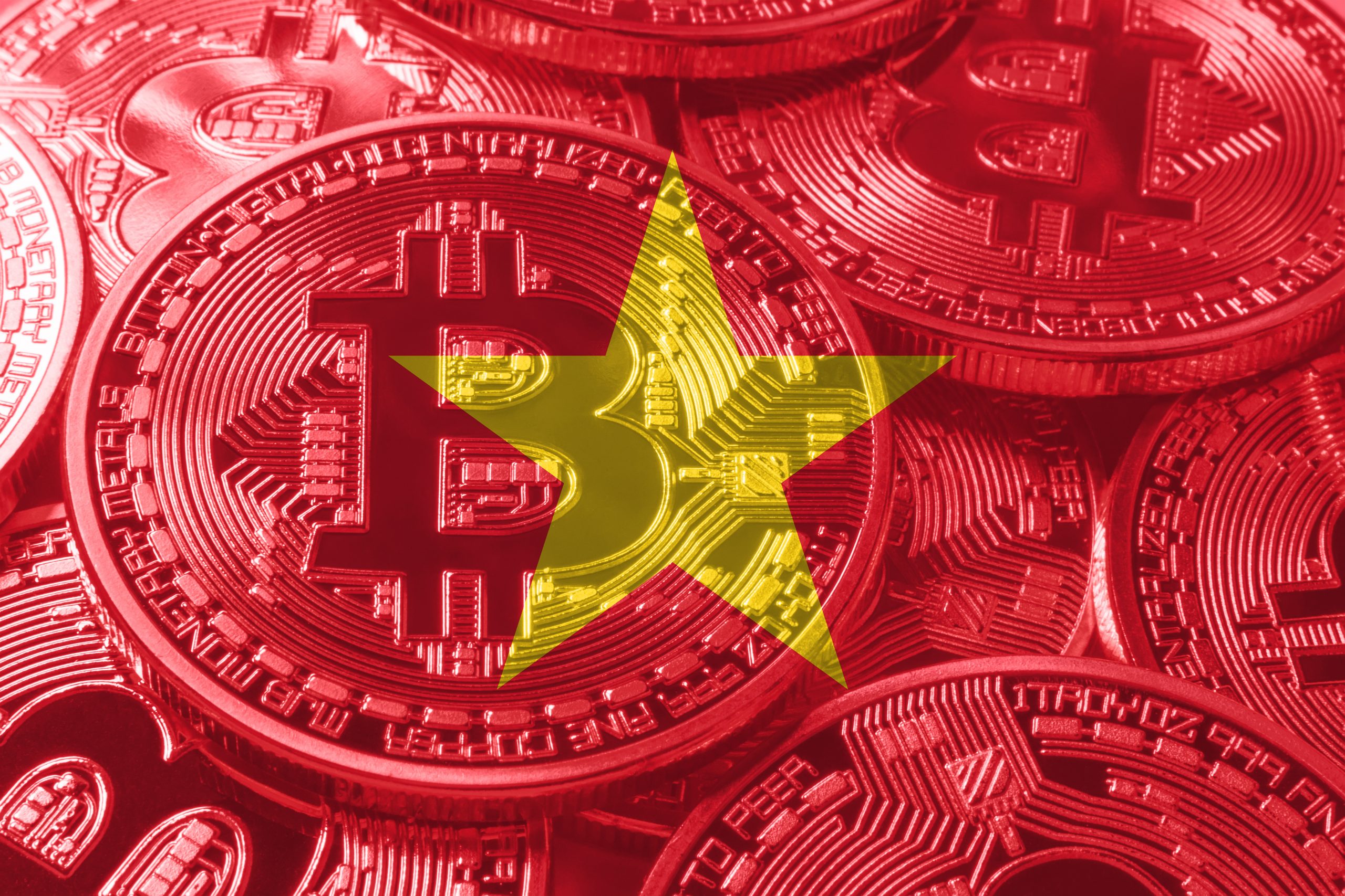 Nearly 65% of crypto investors struggle to make profits in | Business | Vietnam+ (VietnamPlus)
