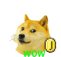 Doge GIF Compilation 📽️ | Doge Much Wow