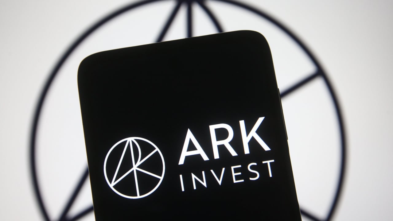 All Combined Ark Invest ETF Holdings