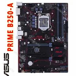 Buy ASUS Prime BPlus Motherboard online Worldwide - family-gadgets.ru