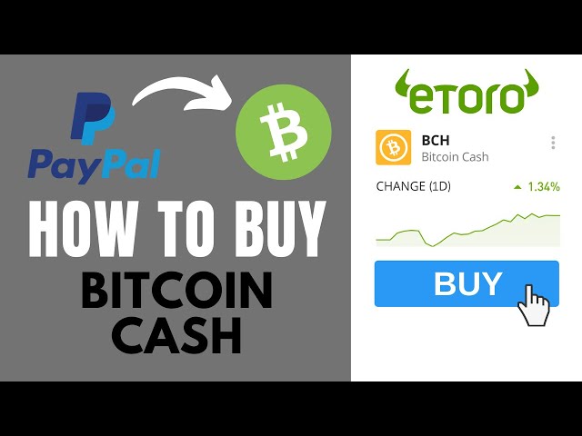 Exchange Bitcoin Cash (BCH) to PayPal USD  where is the best exchange rate?