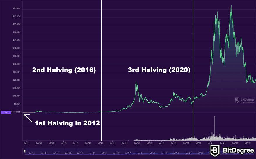 What is bitcoin halving? The event and its price effects explained