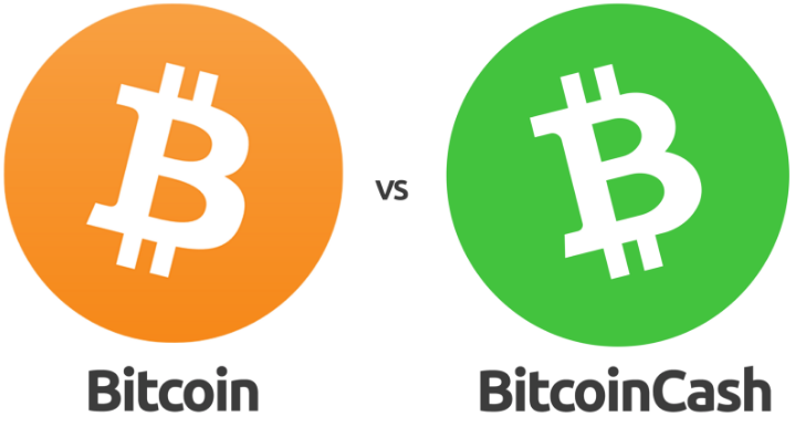 What Is Bitcoin Cash? There’s More Than One Bitcoin | Gemini