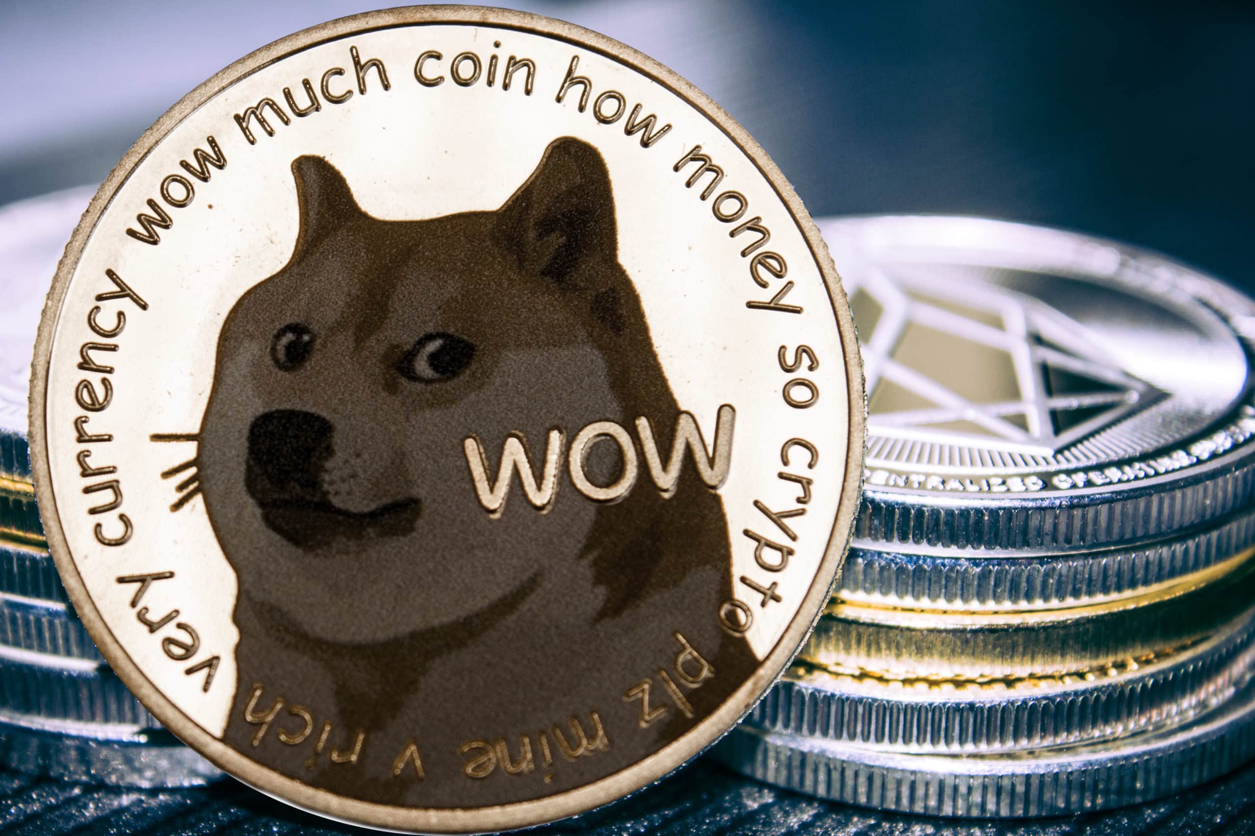 How to buy Dogecoin (DOGE) - family-gadgets.ru