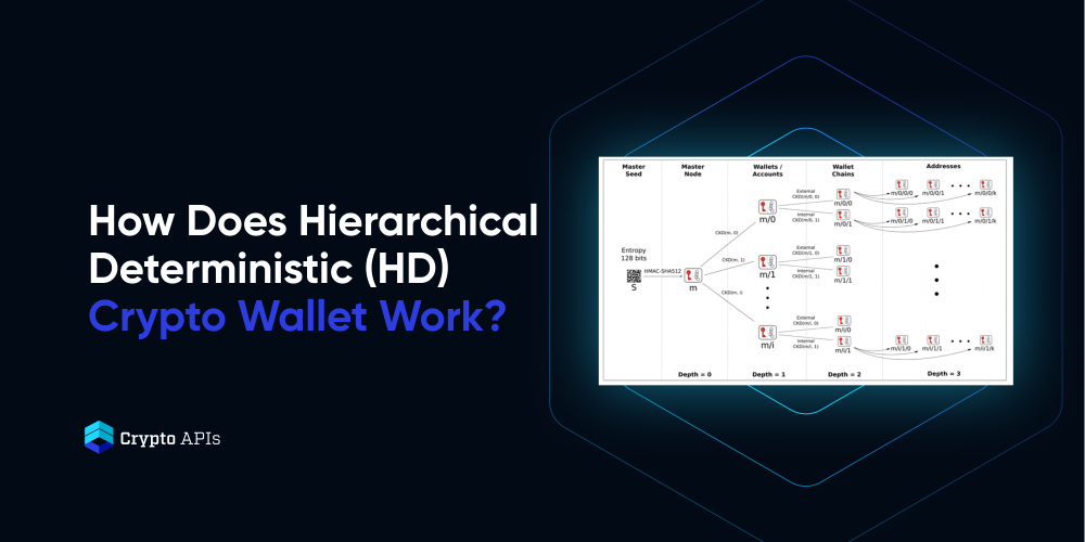 Everything You Need to Know About HD Wallets