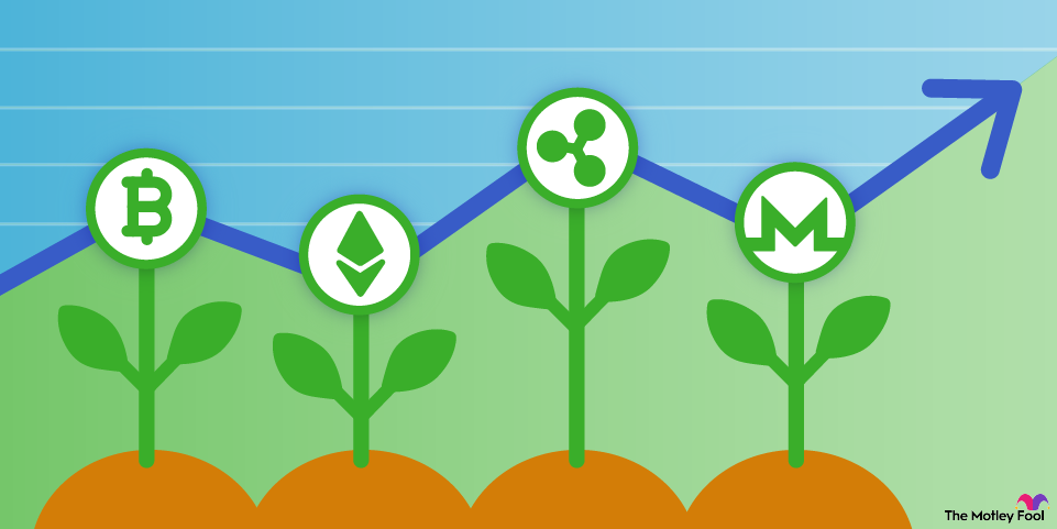 Top 10 Cryptocurrencies to Buy and Hold for 10 Years: Evaluating Crypto Predictions