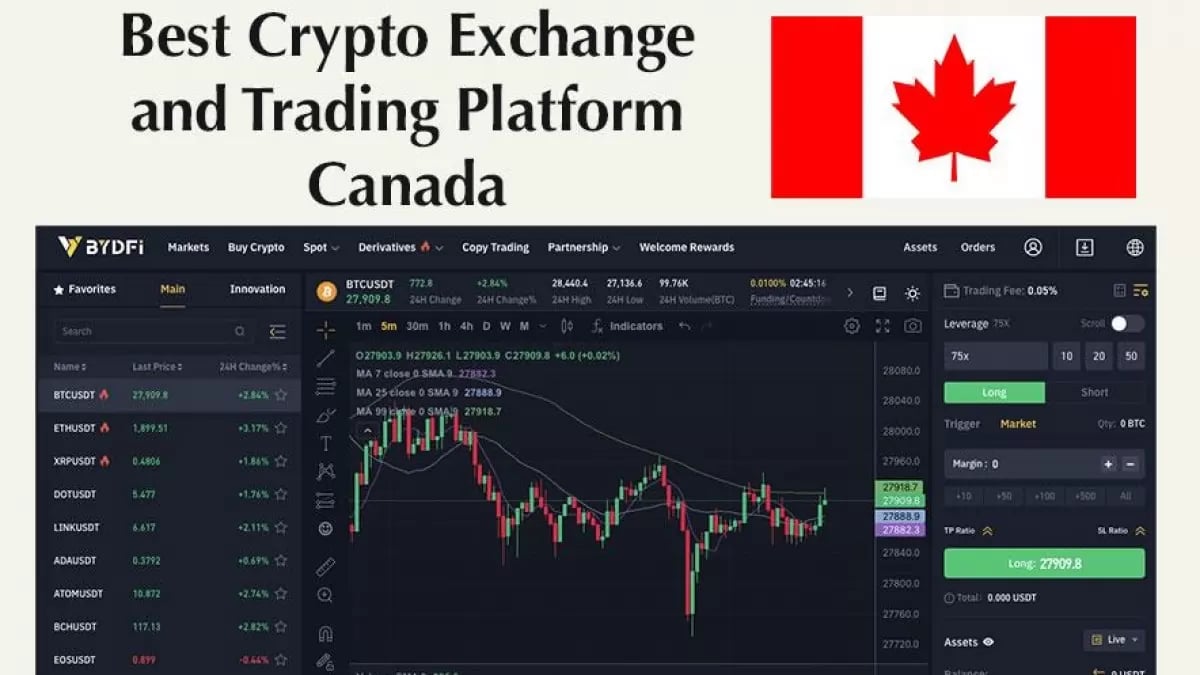 Best Crypto Exchange Canada: My Top 7 Picks for Canadians