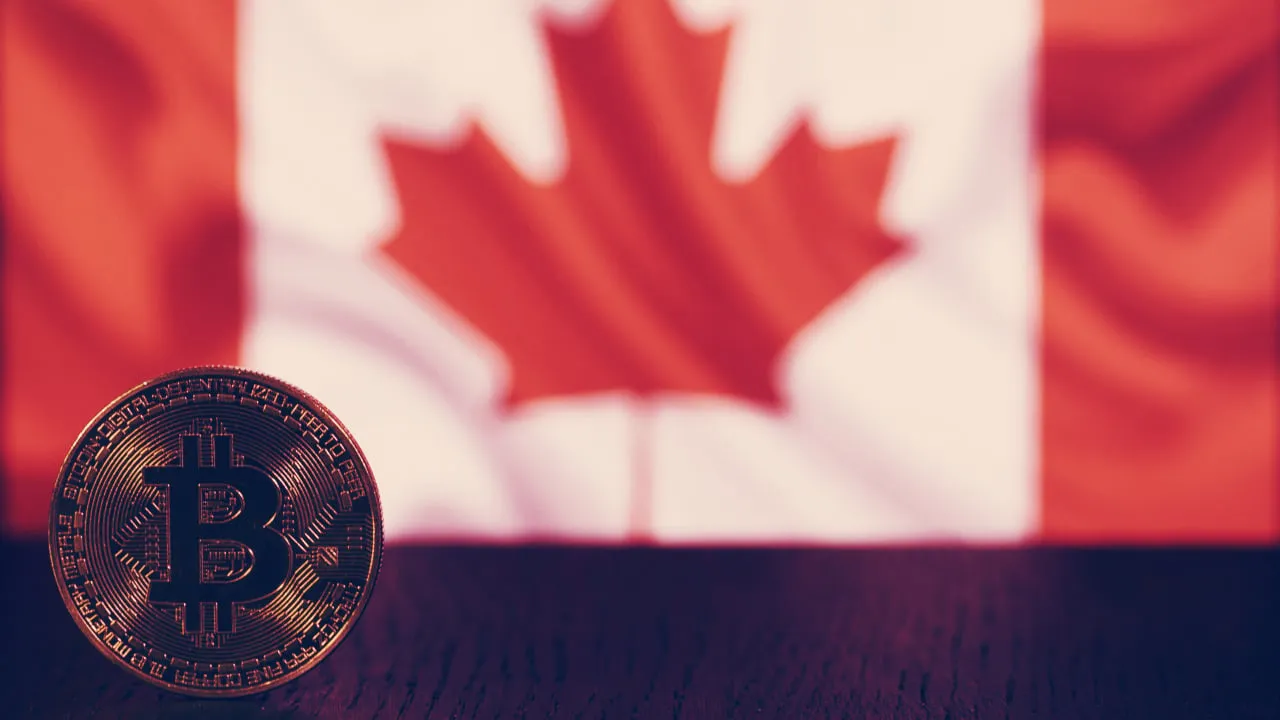 Best Crypto Stocks to Buy in Canada (February ) - PiggyBank