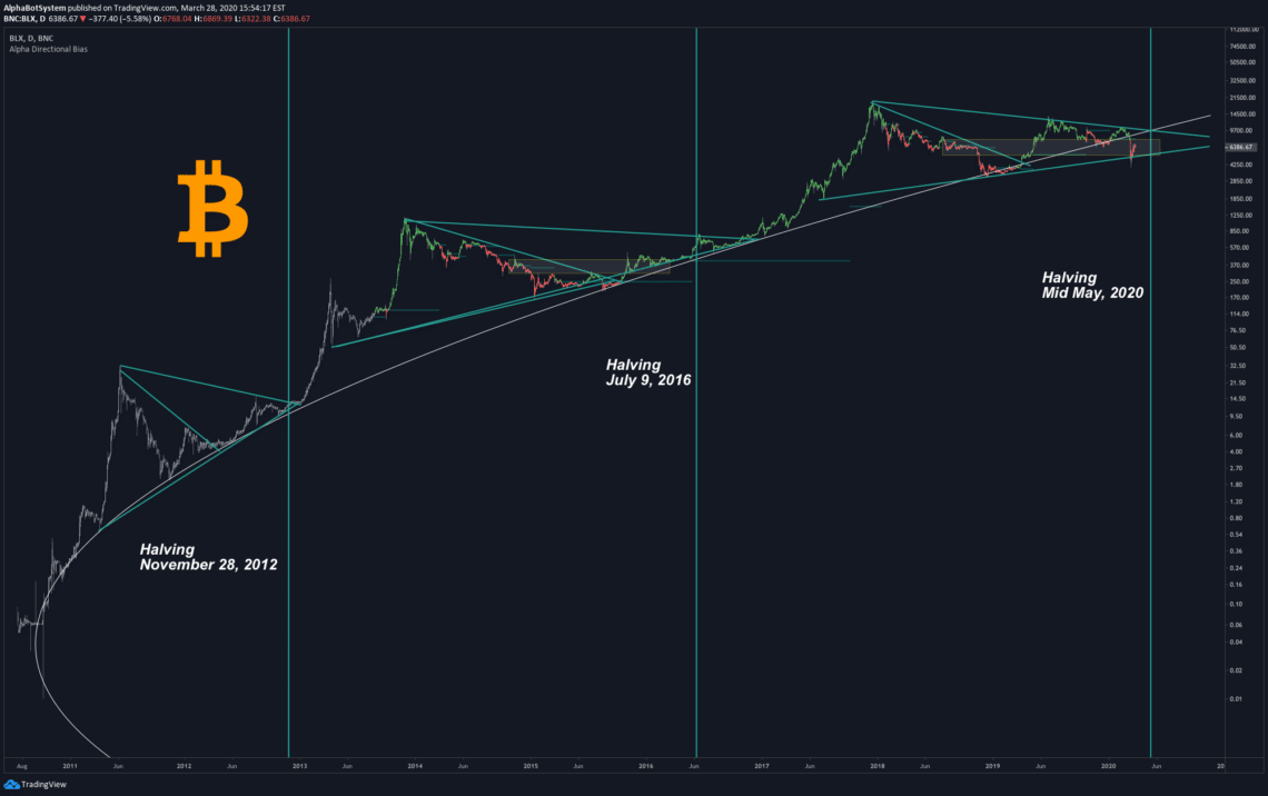 Upcoming Bitcoin Cash Halving Date - BCH Halving Countdown