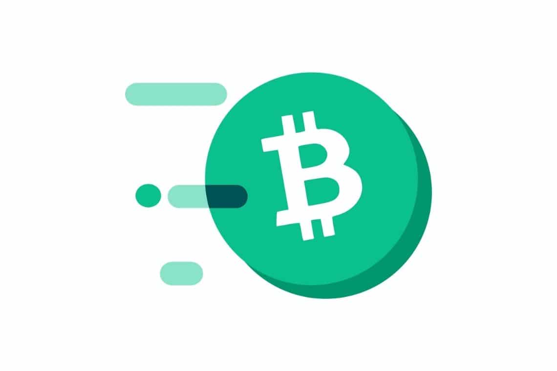 Bitcoin SV Explorer