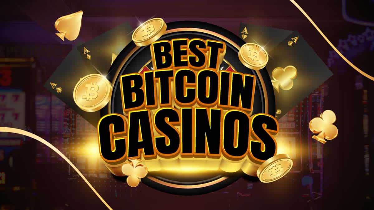 Coin Kings Casino Review | Royal or Spoiled?