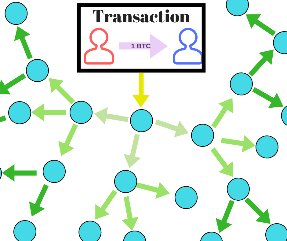 Bitcoin Full Node: What is the Role of a Full Node? - family-gadgets.ru