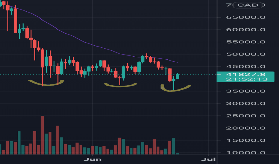 ▼84, (BTC to CAD), Bitcoin real time chart & live price - BTSE