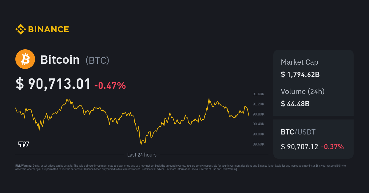 BTC USD — Bitcoin Price and Chart — TradingView — India