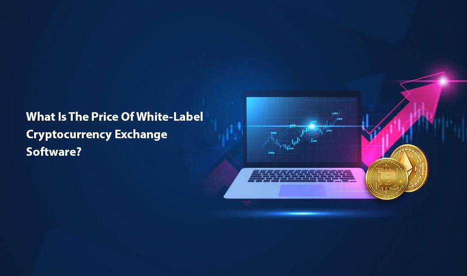 Role Of Technology In White Label Crypto Exchange Setup? – BizDaddy