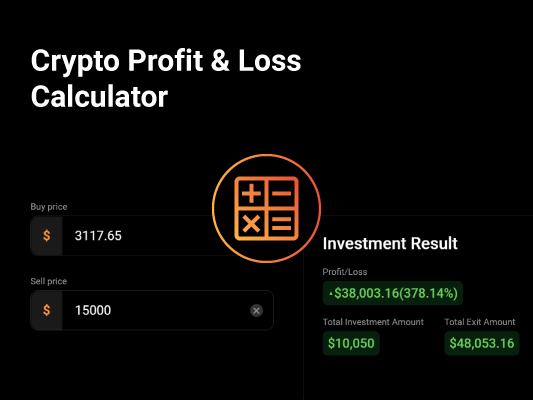 Bitcoin Profit Calculator (ROI)