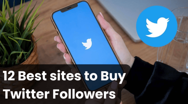 7 Best Sites to Buy Twitter Followers (Instant)