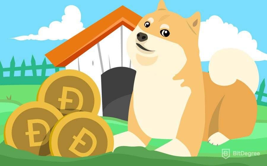 How To Mine Dogecoin: A Full Guide | GOBankingRates