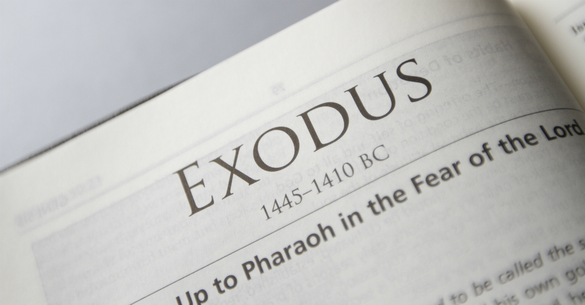Meaning of Exodus in Urdu - رحلت / rehlat Meanings - Urdu Dictionary