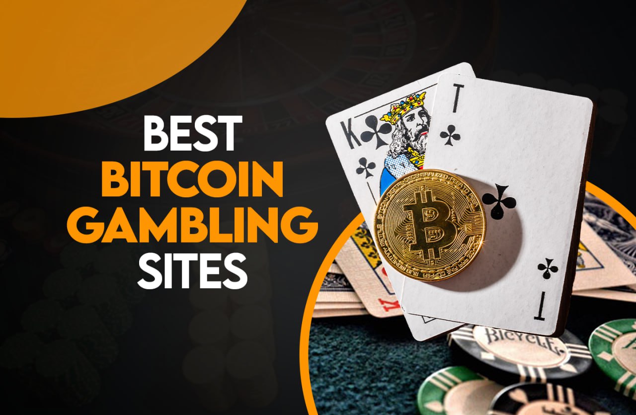 10 Best Crypto & Bitcoin Casinos Canada (March )