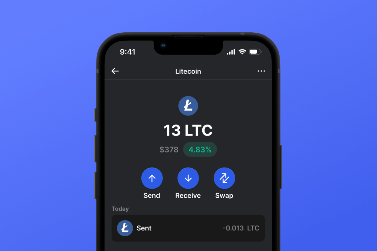 35 Best Litecoin Wallet Reviews - family-gadgets.ru