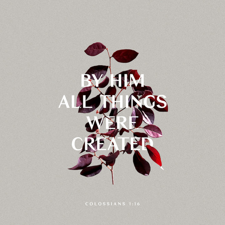 “In Him All Things Consist” – Sound Teaching