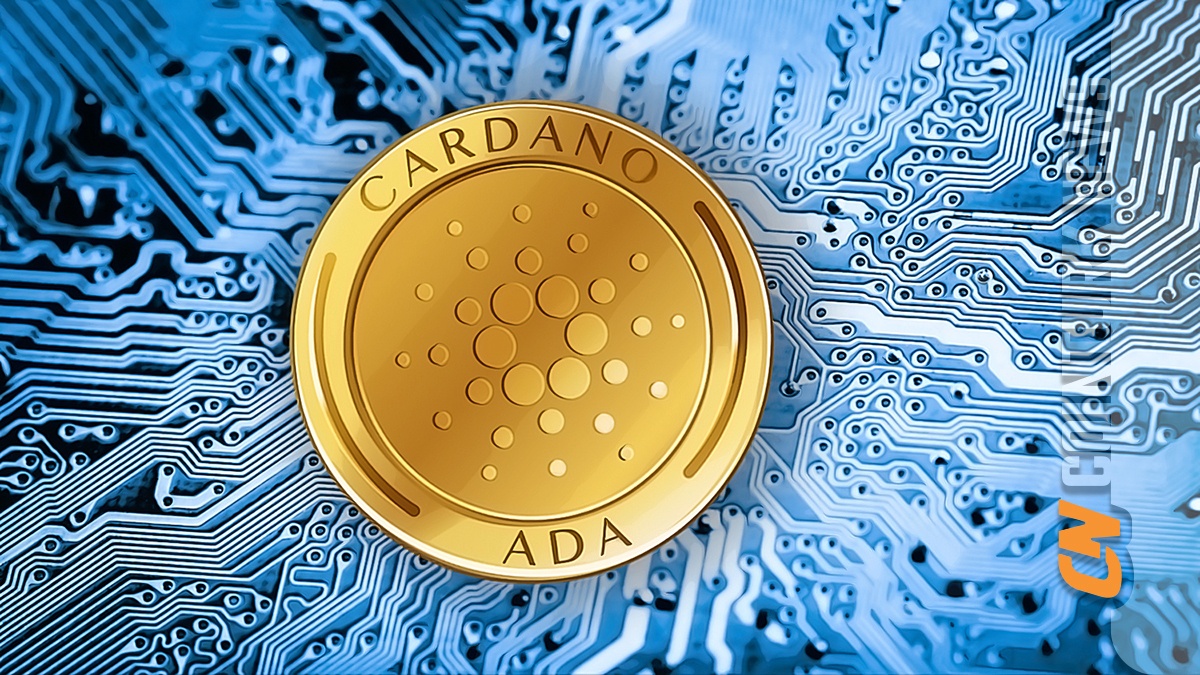 Next Cardano price today, NADA to USD live price, marketcap and chart | CoinMarketCap