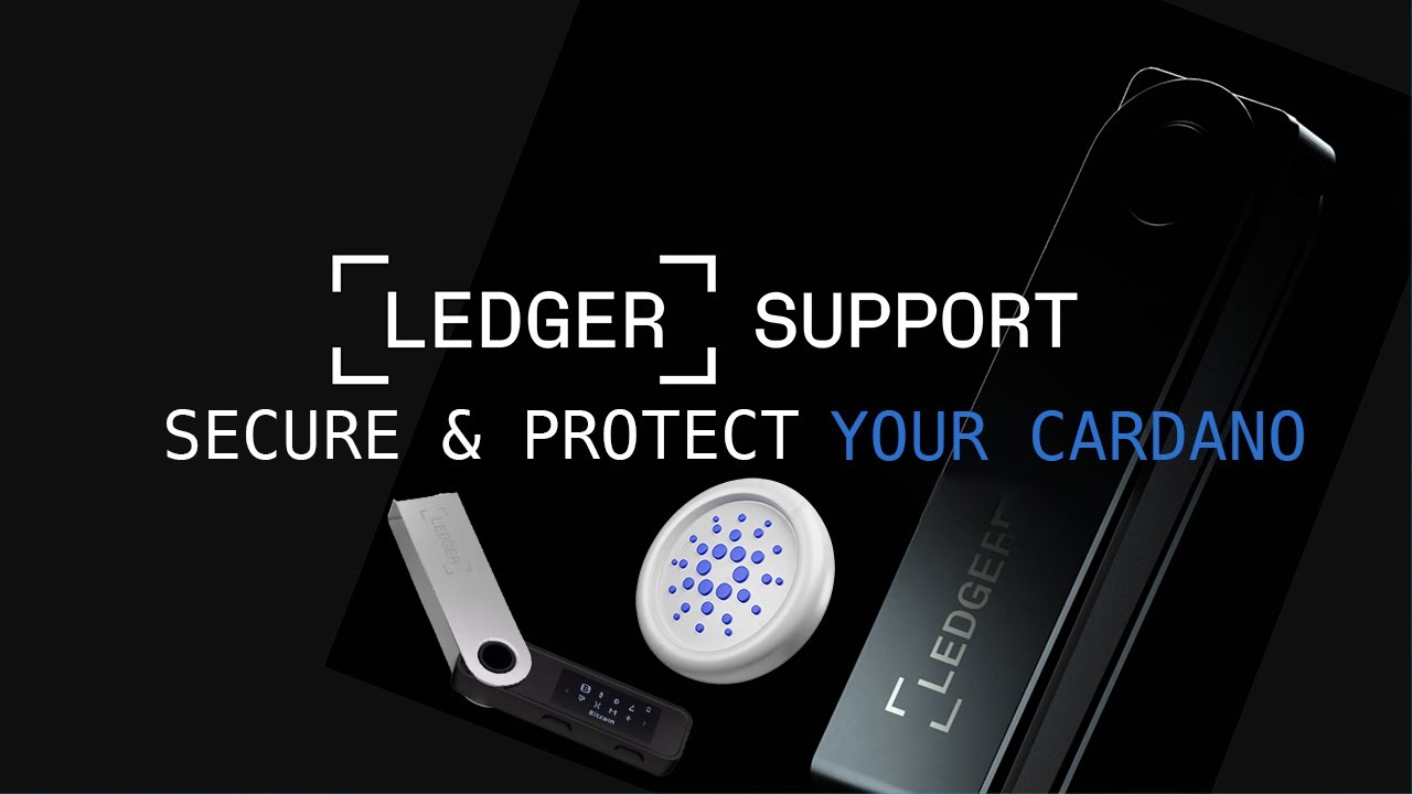 5 Best Cardano Hardware Wallets in | CoinCodex