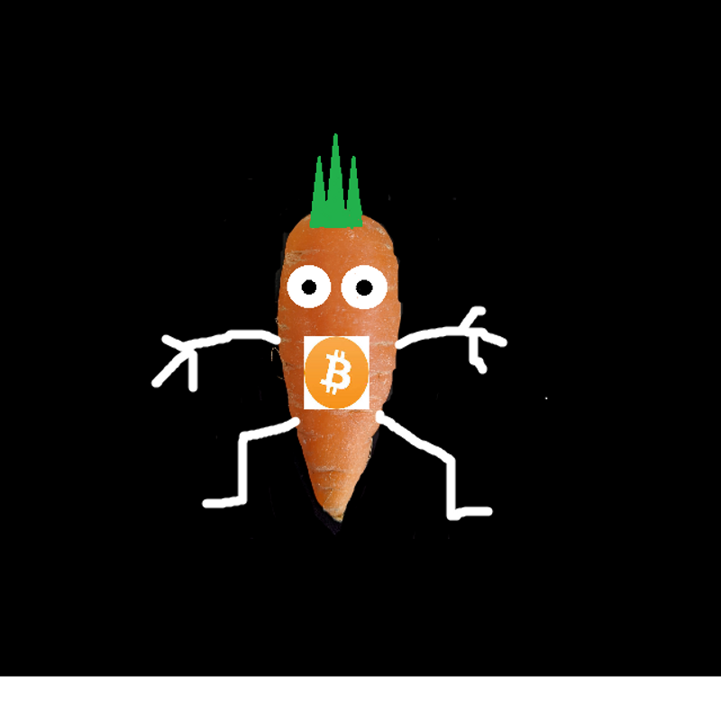 Carrot price now, Live CARROT price, marketcap, chart, and info | CoinCarp