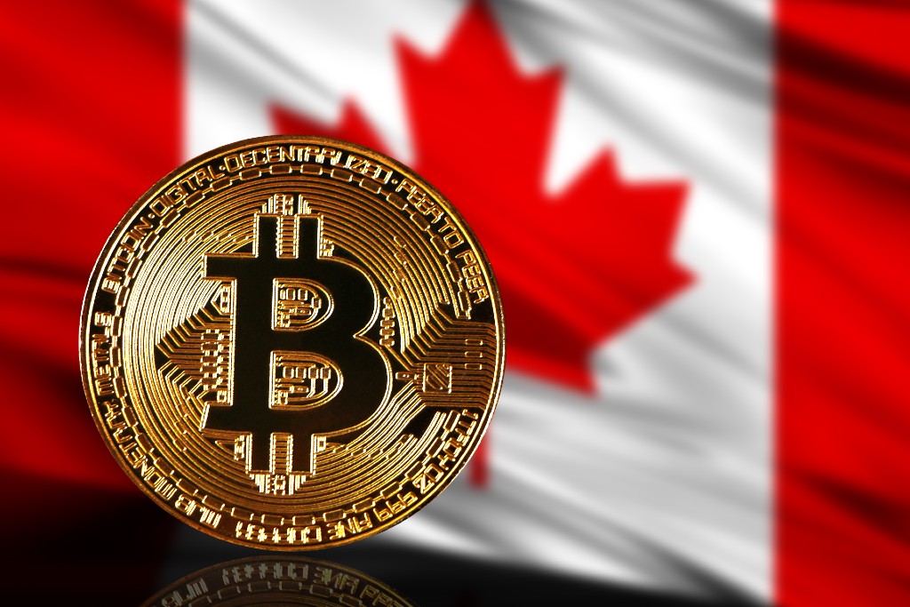 5 Best Crypto Stocks In Canada (Feb ): A Disruptive Technology