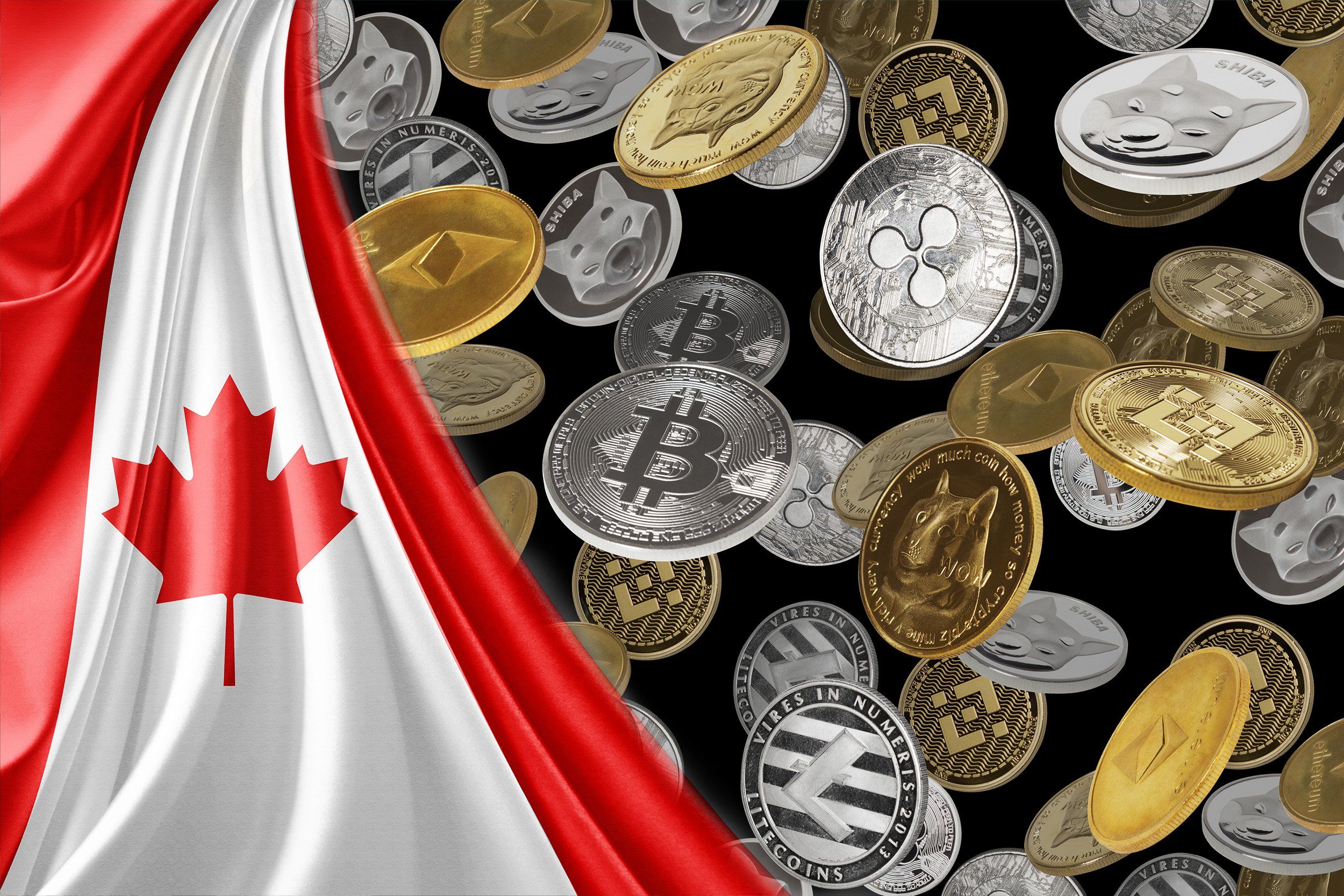 BTC to CAD Converter | Bitcoin to Canadian Dollar Exchange Rates