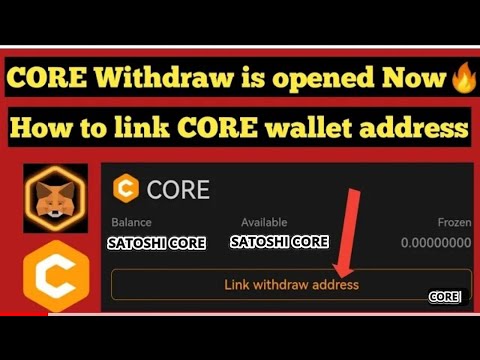 Add Core Chain MainNet(CORE) to MetaMask | CoinCarp