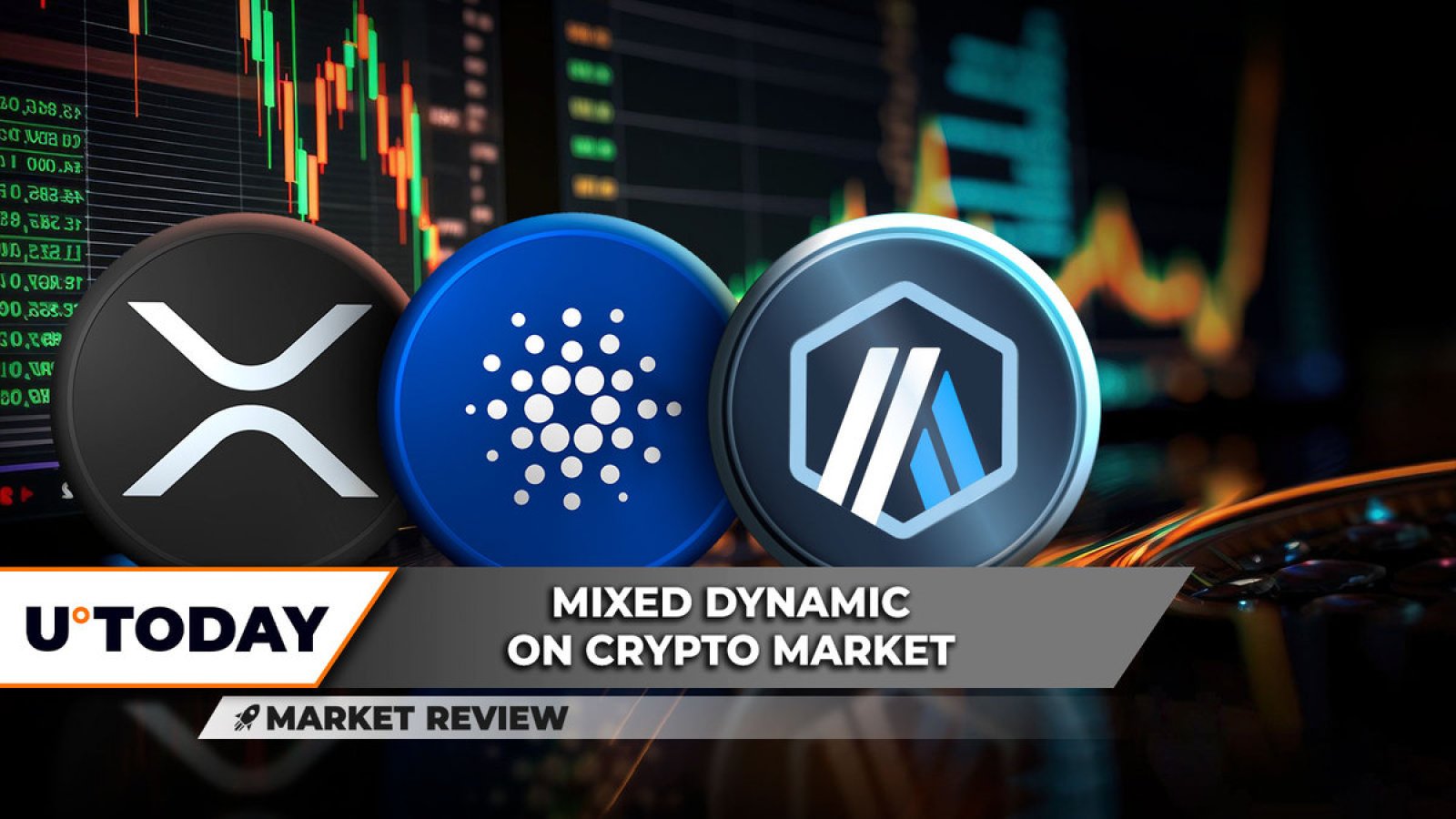 Read Crypto Exchange Reviews by Coin Edition