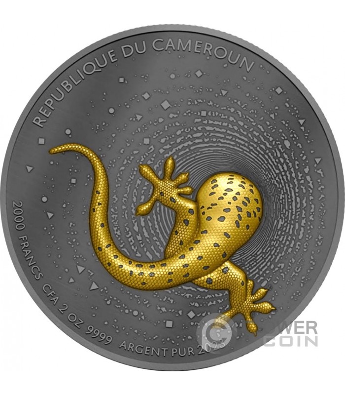 COINS FROM CAMEROON - Collectible Coins from Around the World