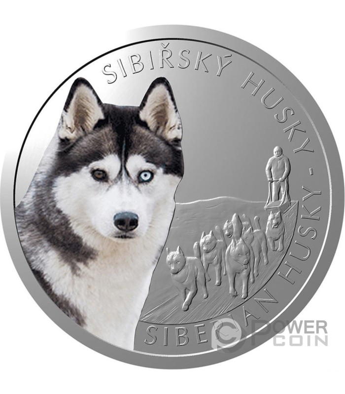 HUSKY Coin: what is Husky Avax? Crypto token analysis and Overview | family-gadgets.ru