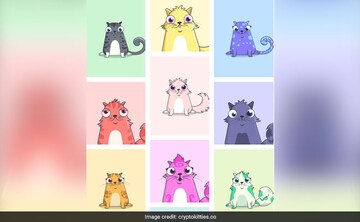 CryptoKitties Explained - What Are CryptoKitties and How Do They Work? - Moralis Academy