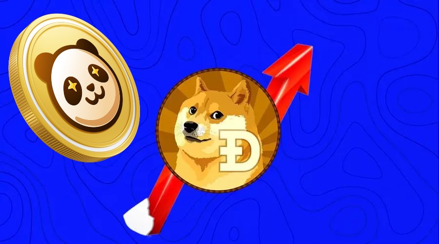 Dogecoin - CoinDesk