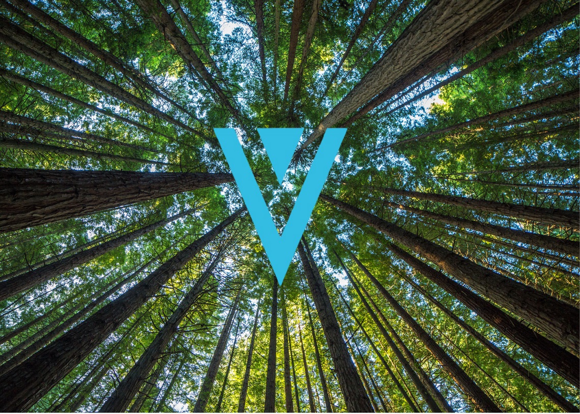 Guest Post by TheNewsCrypto: Verge (XVG) Price Prediction , , | CoinMarketCap