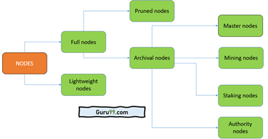 Bitcoin Blockchain Security: Nodes or Miners? - D-Central