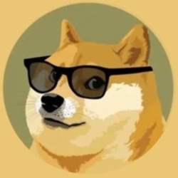 #9 Dogecoin - Markets