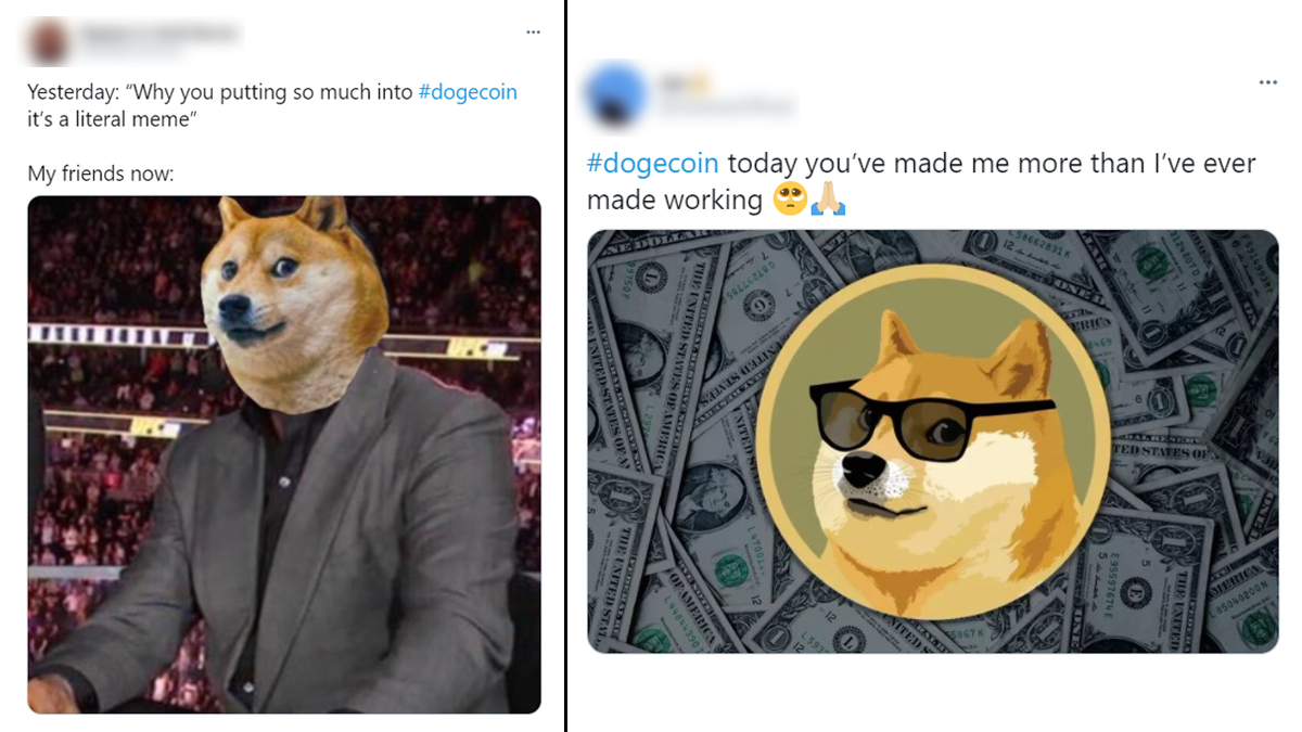 Doge (meme) - Wikipedia