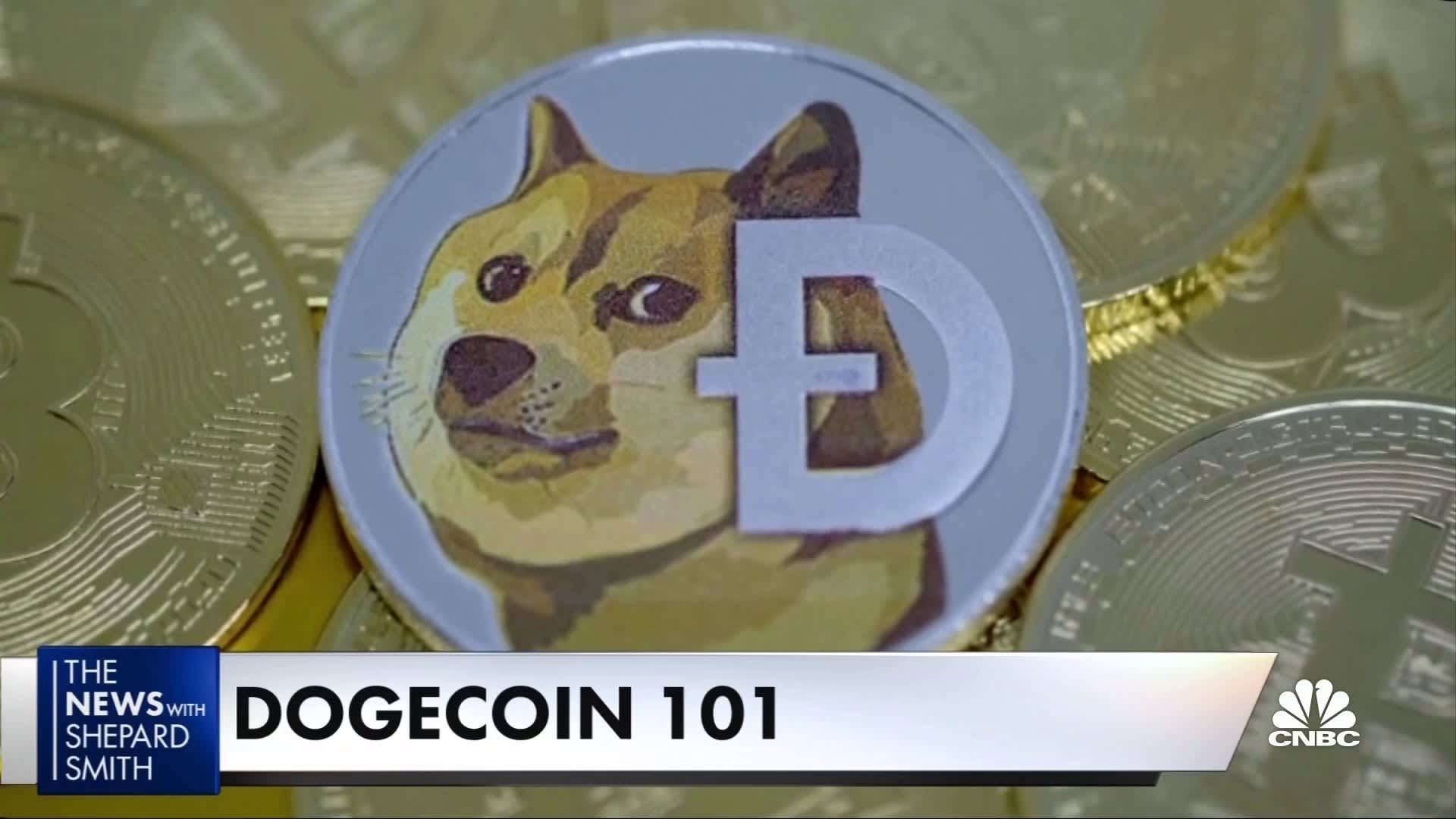 Man who lost money after investing in dogecoin sues Elon Musk for $ billion