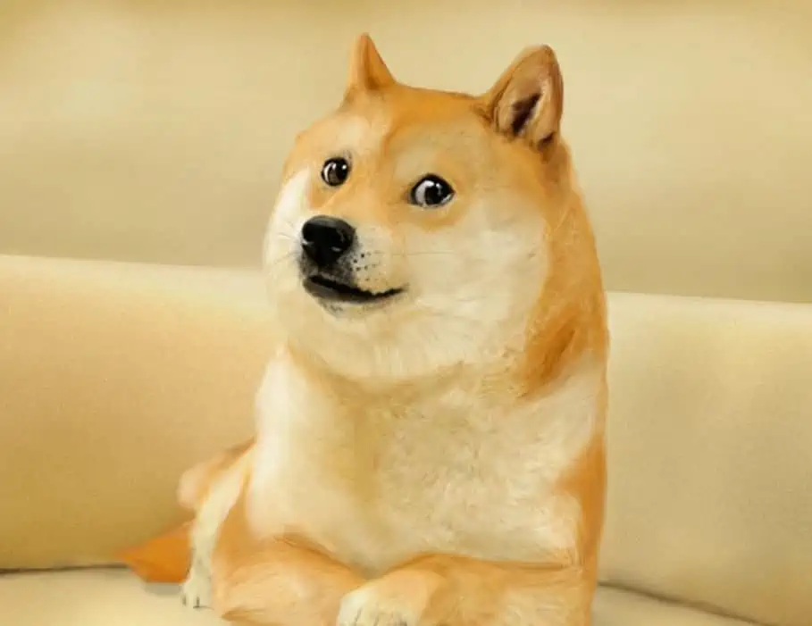 Did Dogecoin Start on Reddit? (The Dogecoin Guide) | Coin Insider