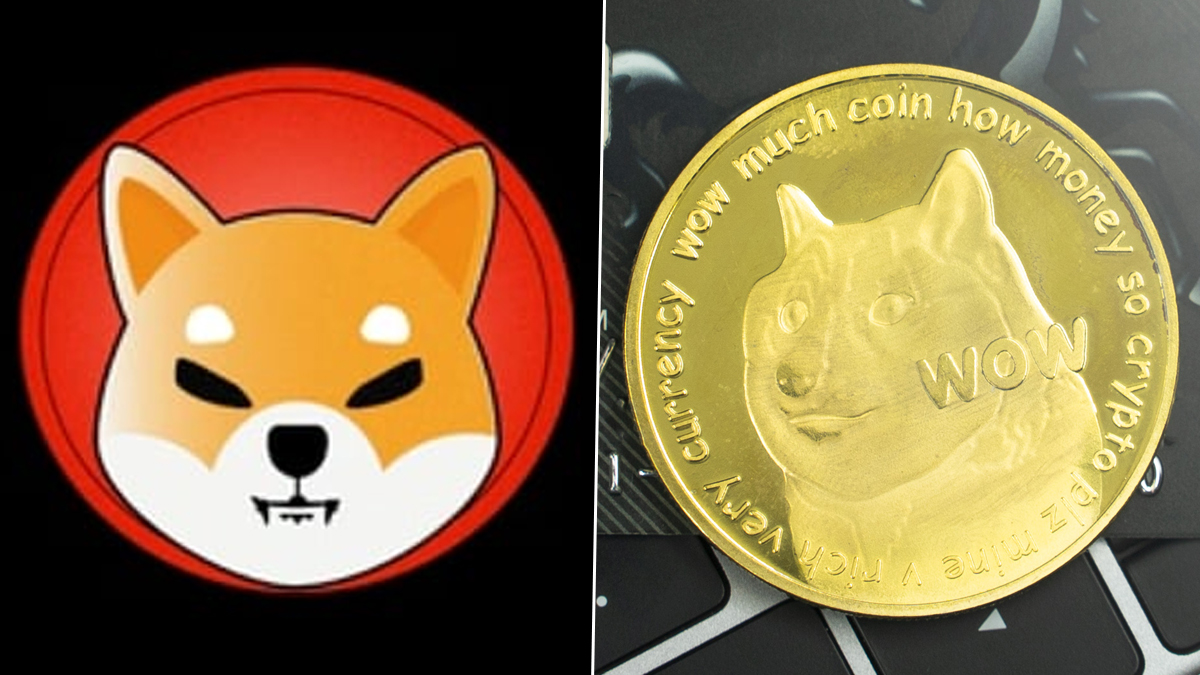 Dogecoin vs Shiba Inu: What's the Difference? • Blog Cryptomus