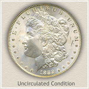 1 dollar - Morgan Dollar, USA - Coin value - family-gadgets.ru