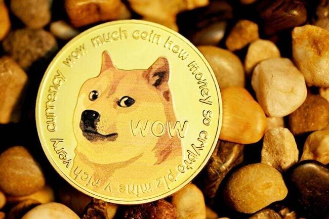 DOGE to ZAR (Dogecoin to South African Rand) | convert, exchange rate